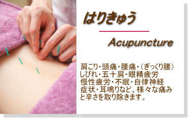 はりきゅう
